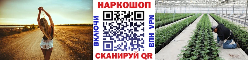 Как найти закладки Кандалакша Метамфетамин Бошки Шишки Меф мяу мяу Амфетамин ГАШИШ СК