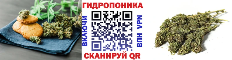 как найти   Кандалакша  Еда ТГК марихуана 
