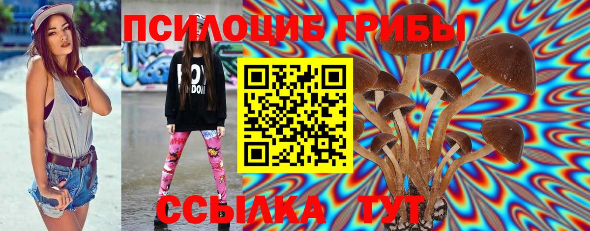 Галлюциногенные грибы Magic Shrooms  Псилоцибиновые грибы мицелий  Вход с VPN  Кандалакша 